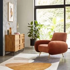 Oviala Fauteuils Fauteuil En Velours Vintage Terracota -Chaise Soldes 2024 fauteuil en velours vintage terracota 2